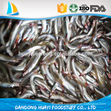 bqf frozen fresh anchovies fish bait local catching